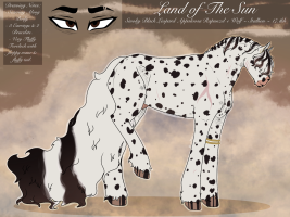 Thumbnail for 1697 Land of The Sun