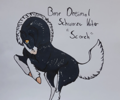 Thumbnail for 8926 Bmr Dreimal Schwarzer Kater