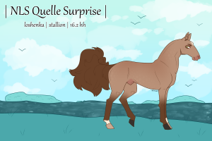 Thumbnail image for 8944 NLS Quelle Surprise