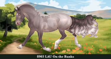 Thumbnail for 8903 LAU On the Banks