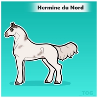 Thumbnail for 7409 Hermine Du Nord