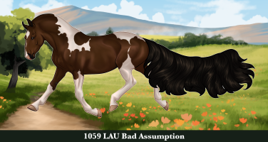 Thumbnail for 1059 LAU Bad Assumption