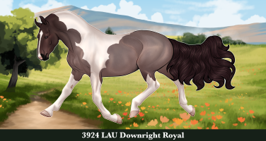 Thumbnail image for 3924 LAU Downright Royal