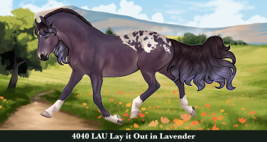 Thumbnail image for 4040 LAU Lay It Out In Lavender