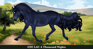 Thumbnail for 4282 LAU A Thousand Nights