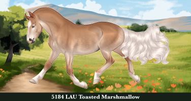 Thumbnail for 5184 LAU Toasted Marshmallow