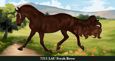 Thumbnail for 7211 LAU Fresh Brew