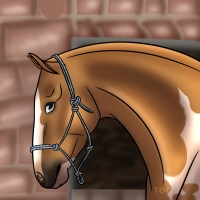 Thumbnail for 8935 WG Crackling Fire