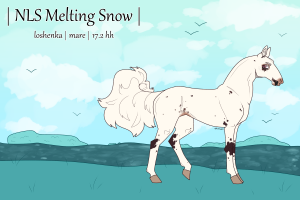 Thumbnail image for 8986 NLS Melting Snow