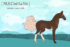 Thumbnail image for 8988 NLS C'est La Vie