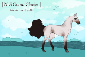 8962 NLS Grand Glacier Thumbnail