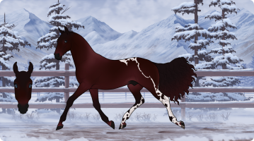 Thumbnail for 9009 Blood Pact