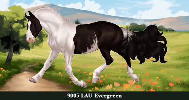 Thumbnail for 9005 LAU Evergreen