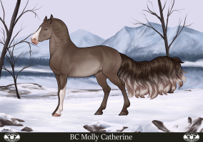 Thumbnail for 8409 BE Oatmeal Cookie