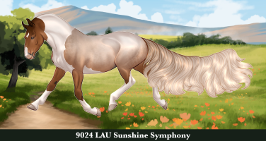 Thumbnail for 9024 LAU Sunshine Symphony