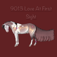 Thumbnail for 9013 Love At First Sight