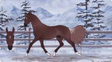 Thumbnail for 8995 Born To Be Wild