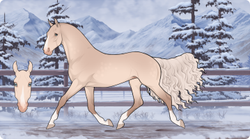 Thumbnail for 2115 Dolcevita