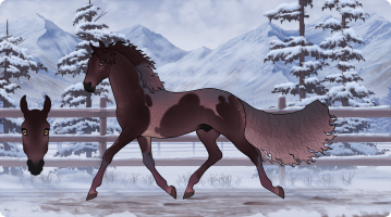 Thumbnail image for 9138 Covini