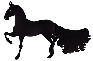 Thumbnail for 9159 EM’s Crowe
