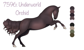 Thumbnail for 7596 Underworld Orchid