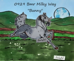 Thumbnail for 0929 Bmr Milky Way