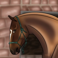 Thumbnail for 4613 Til Death Do Us Part