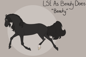 Thumbnail for 9029 LSE As Beauty Does