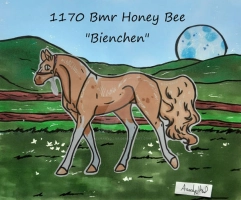 Thumbnail for 1170 Bmr Honey Bee