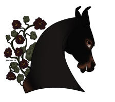 Thumbnail for 9209 Black Leather Veil