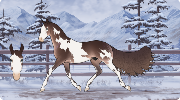 Thumbnail for 7329 WG Following Whispers Of The Past