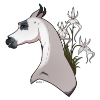 Thumbnail for 4159 Ghosted