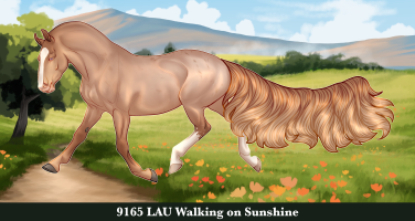 Thumbnail for 9195 LAU Walking on Sunshine