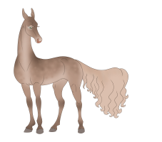 Thumbnail for 0294 Egyptian Honey