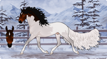 Thumbnail for 9398 LAU Cardinal Winter