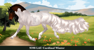 Thumbnail image for 9398 LAU Cardinal Winter