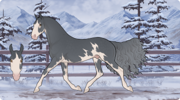 Thumbnail for 9408 MF Turtle Time