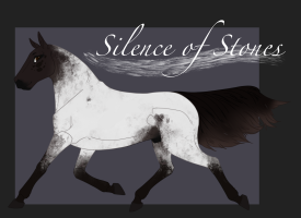 Thumbnail for 9047 Silence of Stones