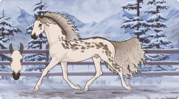 Thumbnail for 9440 EM’s Chesapeake Cattails