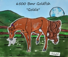 Thumbnail image for 6500 Bmr Goldfish