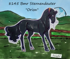 Thumbnail image for 8145 Bmr Sternendeuter