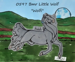 Thumbnail for 0597 Bmr Little Wolf