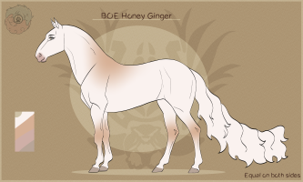 Thumbnail for 6328 BOE Honey Ginger