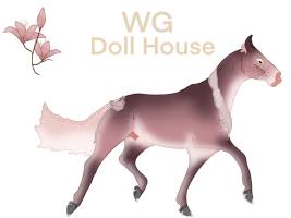 Thumbnail for 7007 WG Doll House