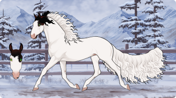 Thumbnail for 9544 WG Crimson Compass