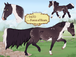 Thumbnail for 9470 Forest of Hearts