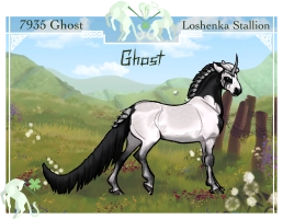 Thumbnail image for 7935 Ghost