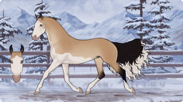 Thumbnail for 9612 ZXD Miss Frenchie