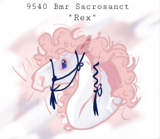 Thumbnail for 9540 Bmr Sacrosanct