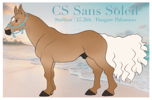 Thumbnail for 6516 CS Sans Soleil